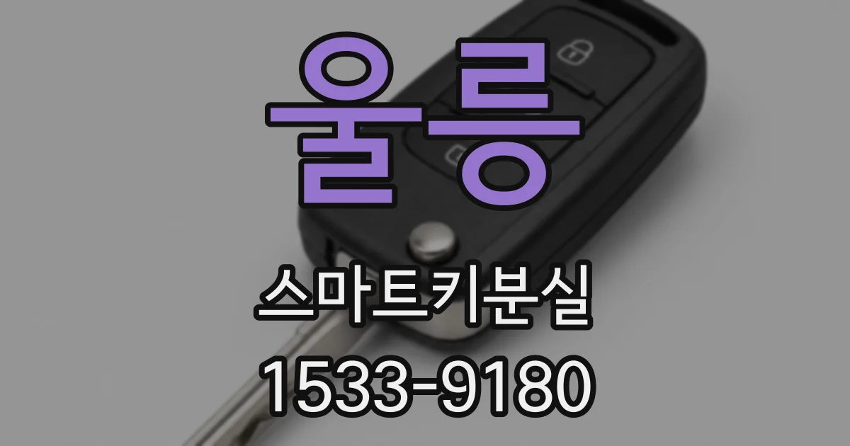 울릉 스마트키분실