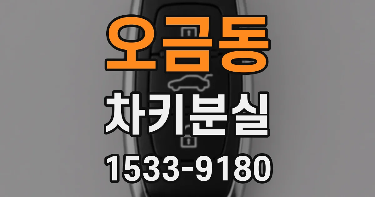 오금동 차키분실