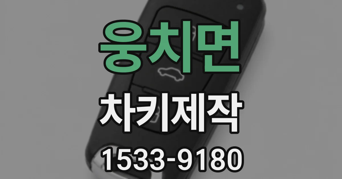 웅치면 차키제작