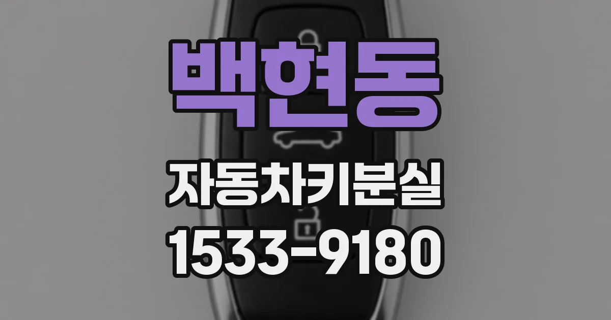 백현동 자동차키분실