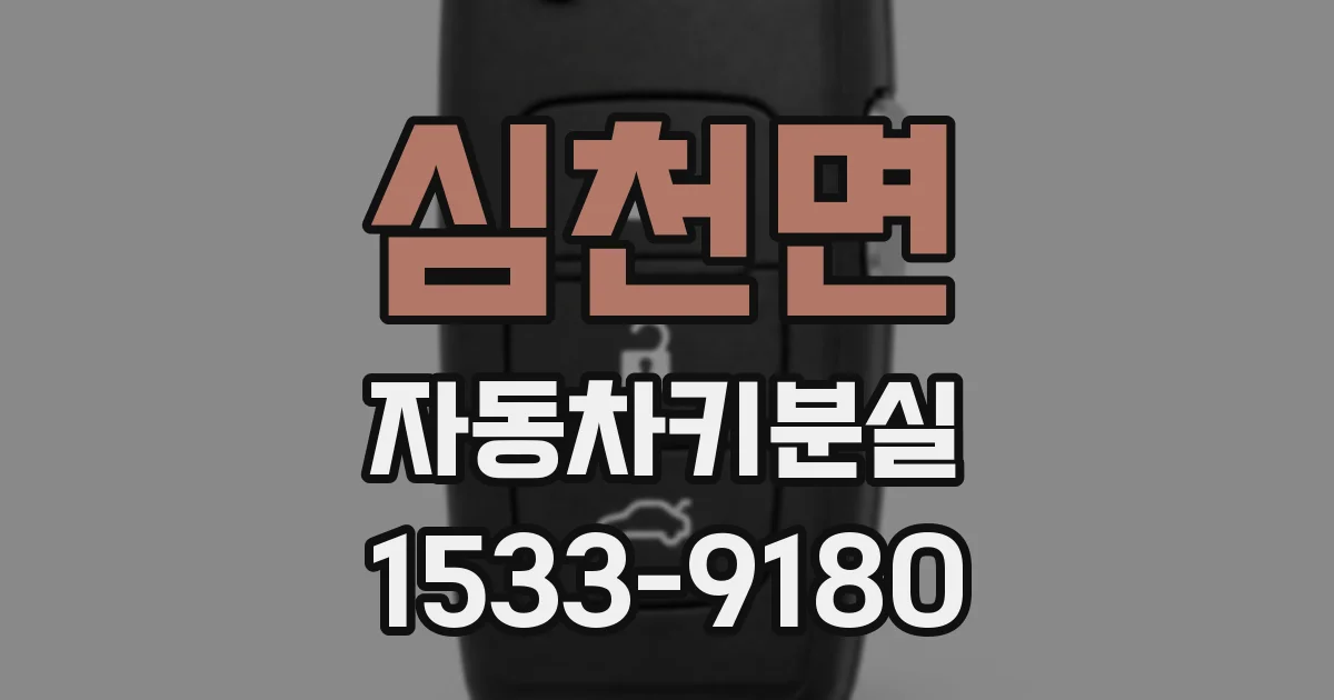 심천면 자동차키분실