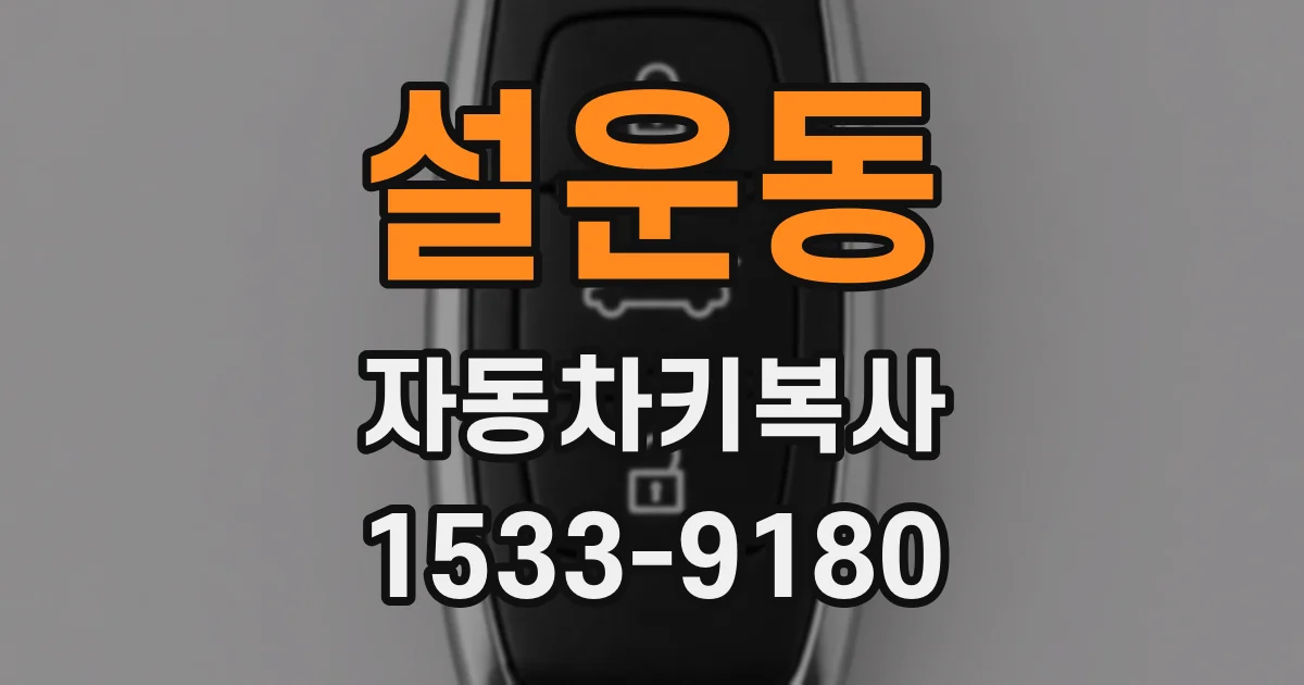 설운동 자동차키복사