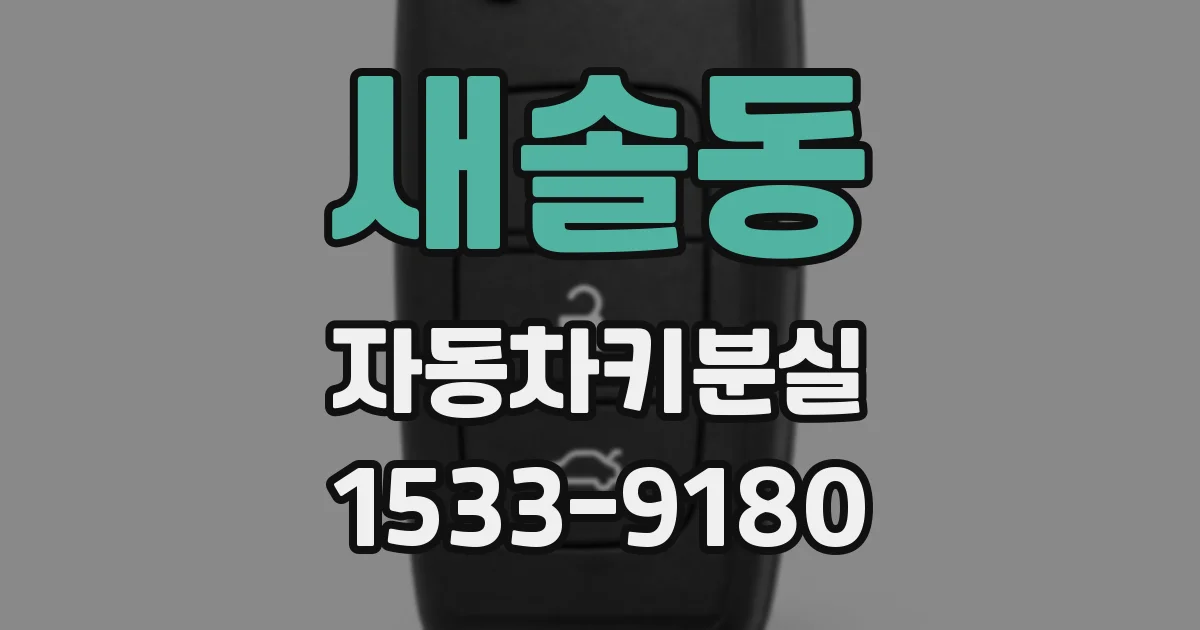 새솔동 자동차키분실