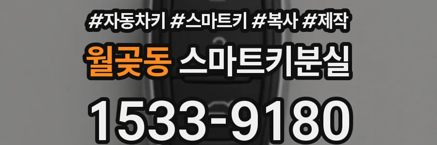 월곶동 스마트키분실