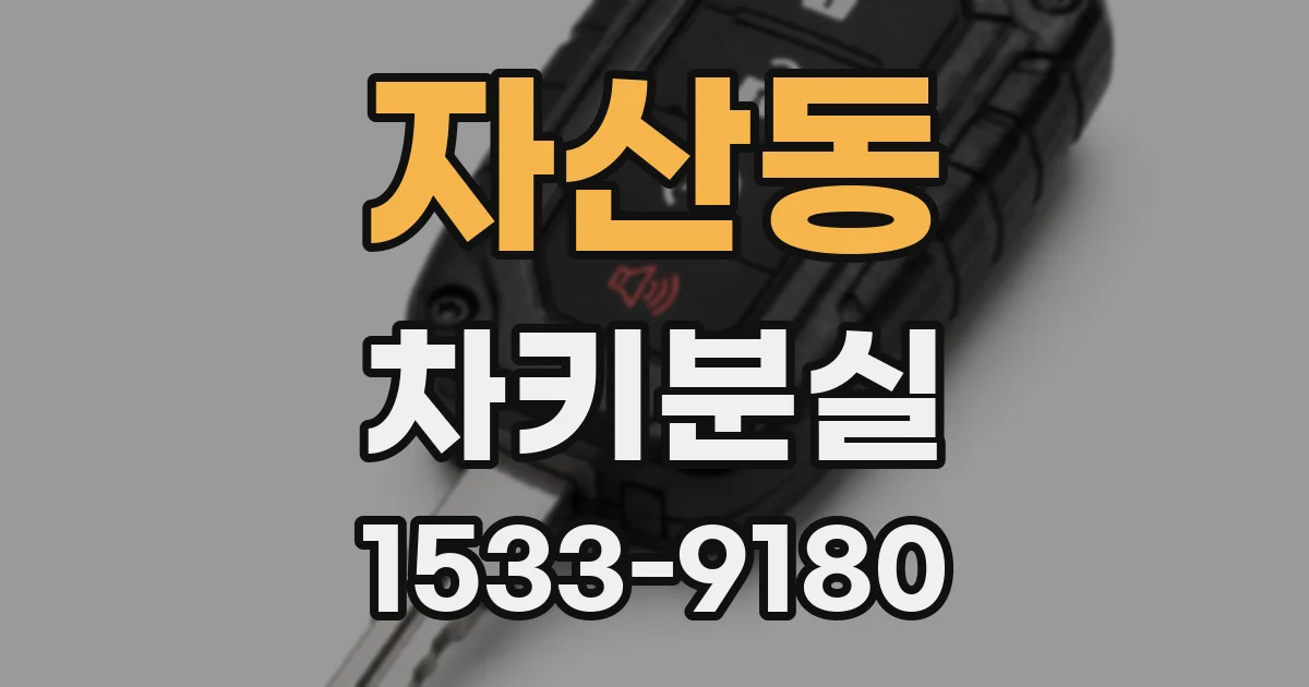 자산동 차키분실