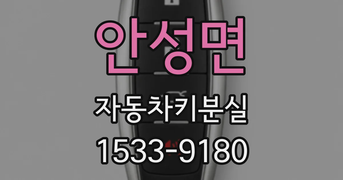 안성면 자동차키분실