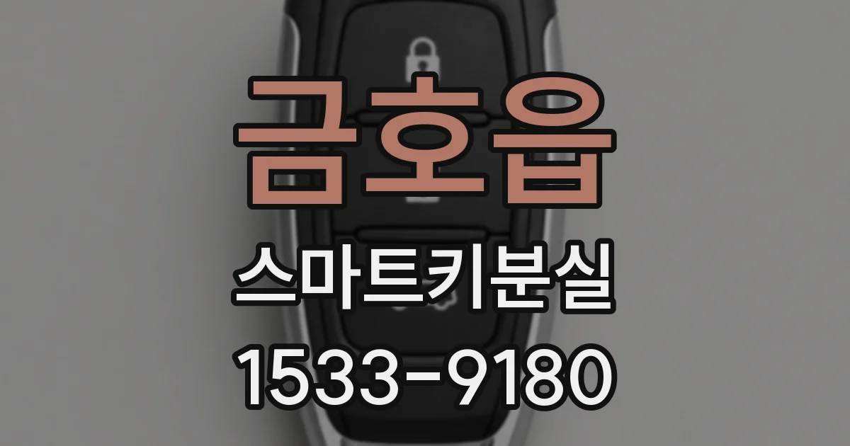 금호읍 스마트키분실