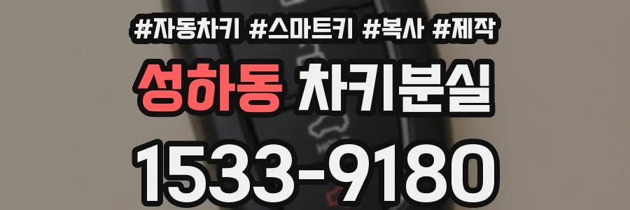 성하동 차키분실