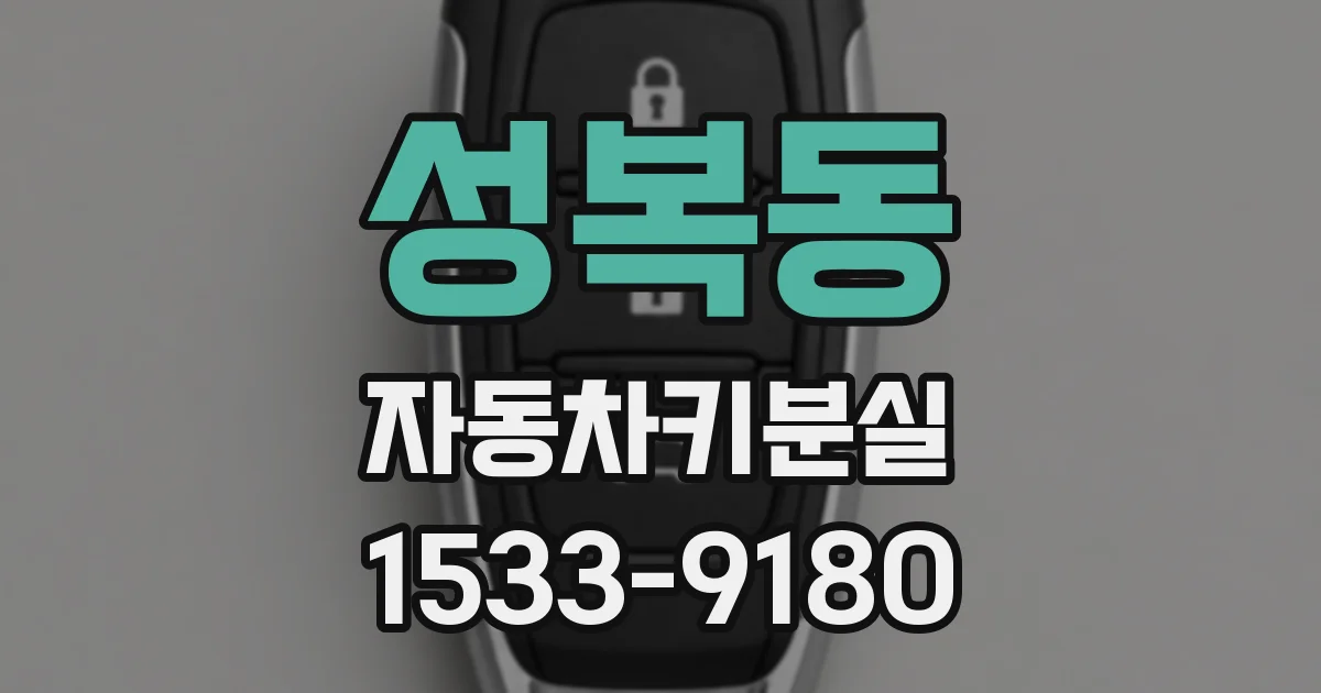 성복동 자동차키분실