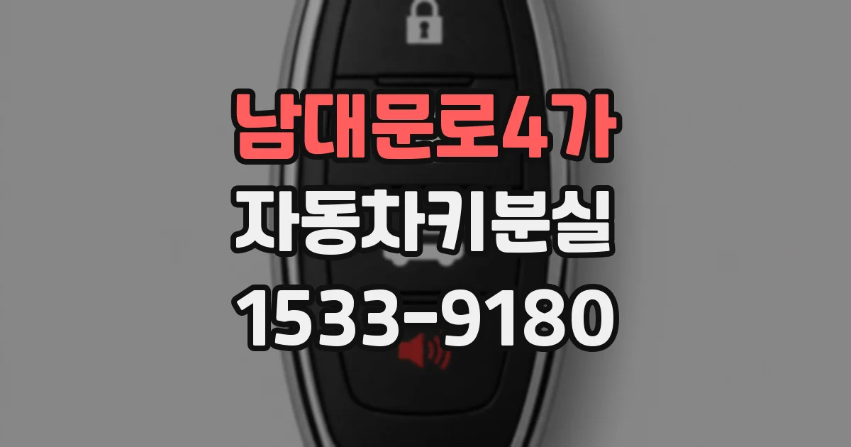 남대문로4가 자동차키분실