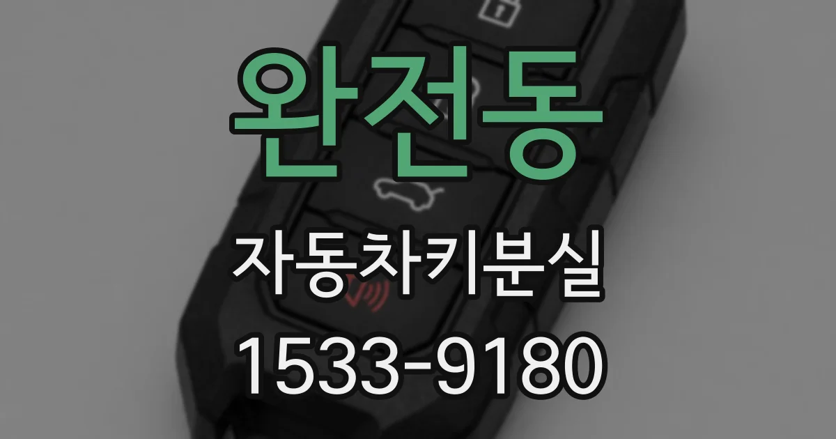 완전동 자동차키분실