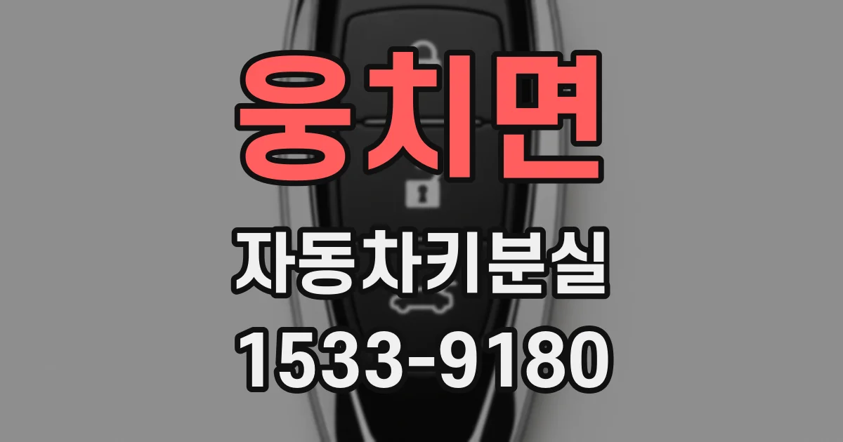 웅치면 자동차키분실