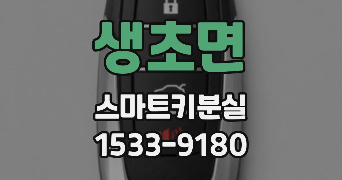 생초면 스마트키분실