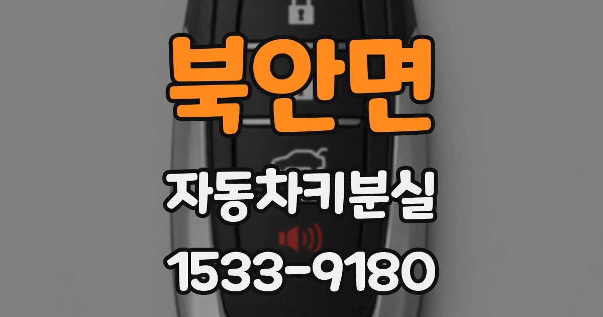 북안면 자동차키분실