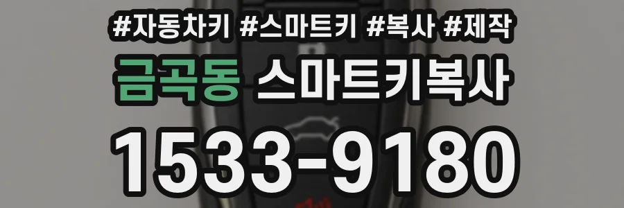 금곡동 스마트키복사