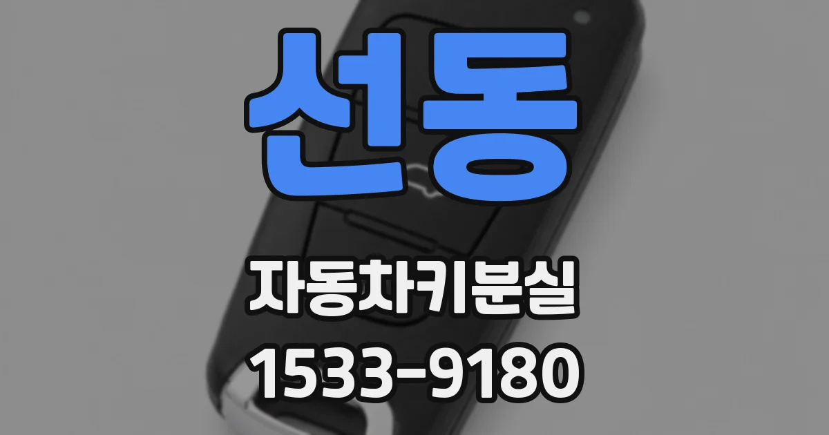 선동 자동차키분실