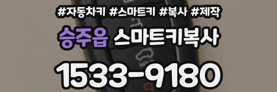 승주읍 스마트키복사