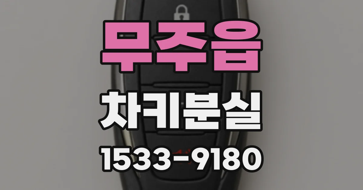 무주읍 차키분실