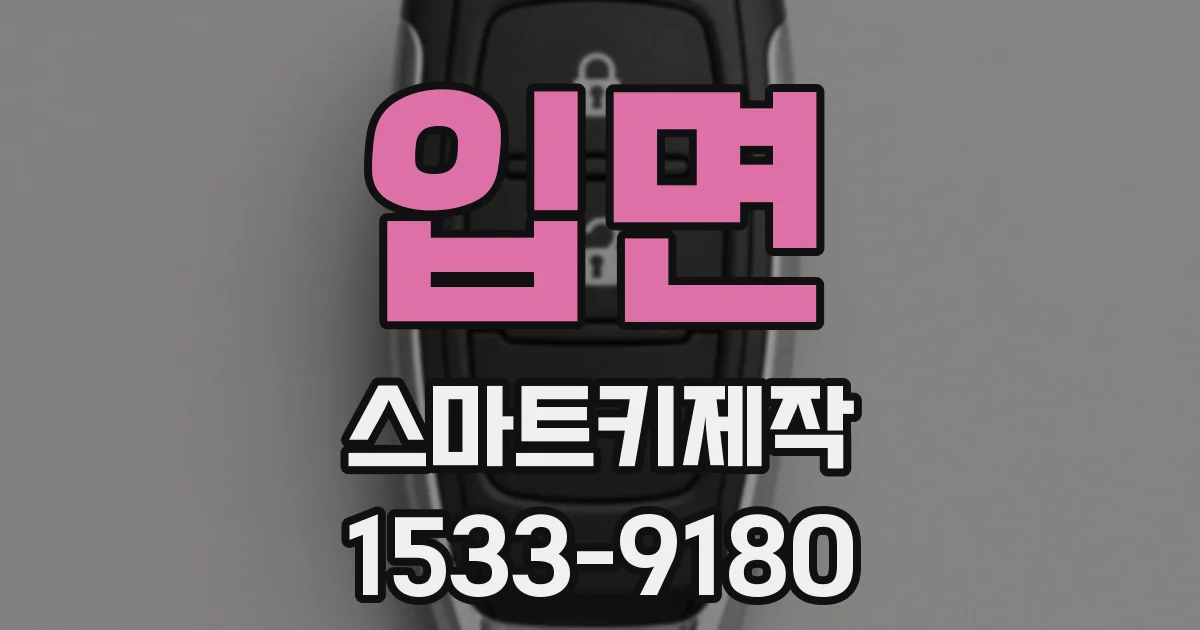 입면 스마트키제작