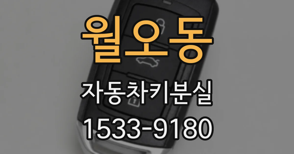 월오동 자동차키분실
