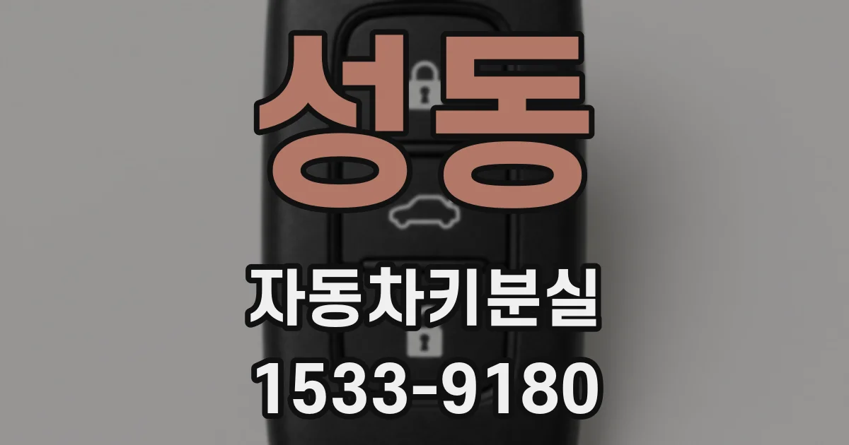 성동 자동차키분실