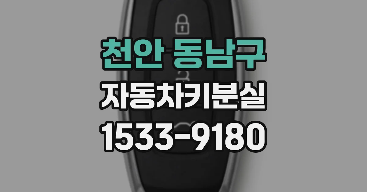 천안 동남구 자동차키분실