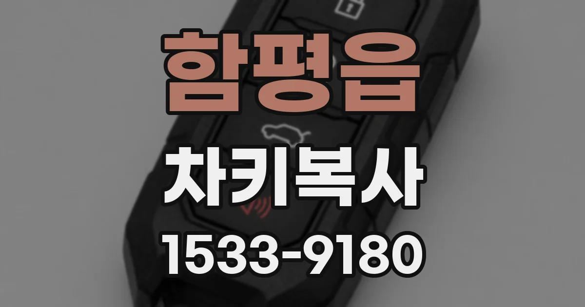 함평읍 차키복사