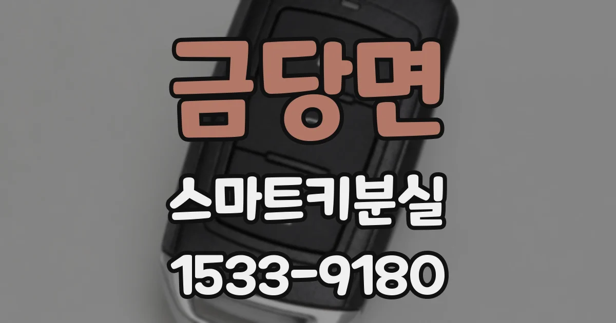 금당면 스마트키분실