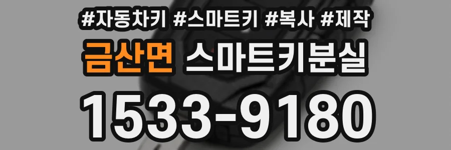 금산면 스마트키분실