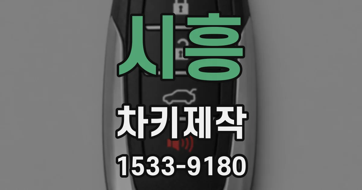시흥 차키제작