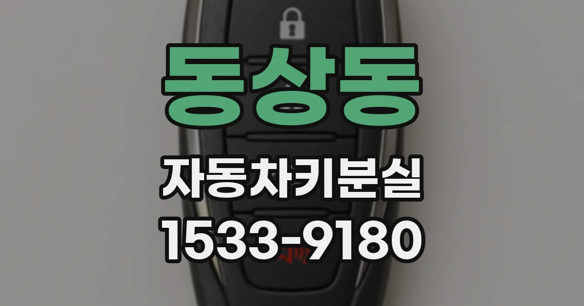 동상동 자동차키분실