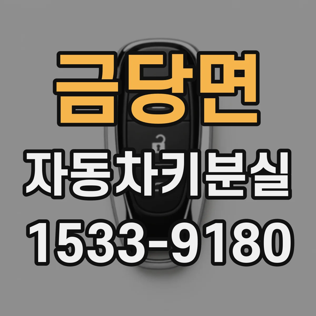 금당면 자동차키분실