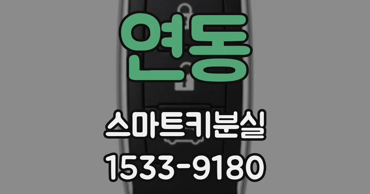연동 스마트키분실