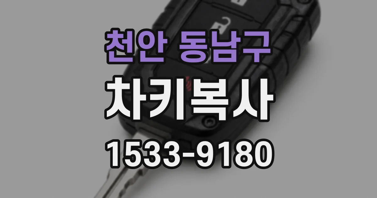천안 동남구 차키복사
