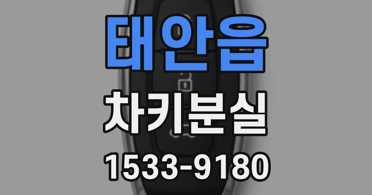 태안읍 차키분실
