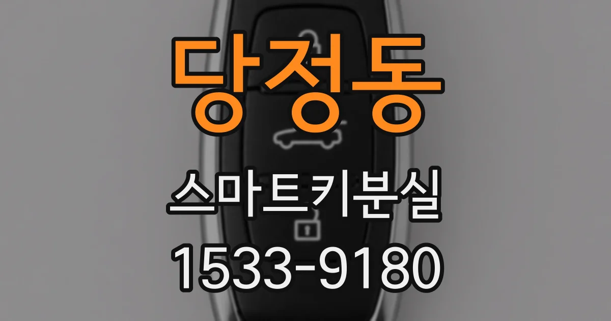 당정동 스마트키분실