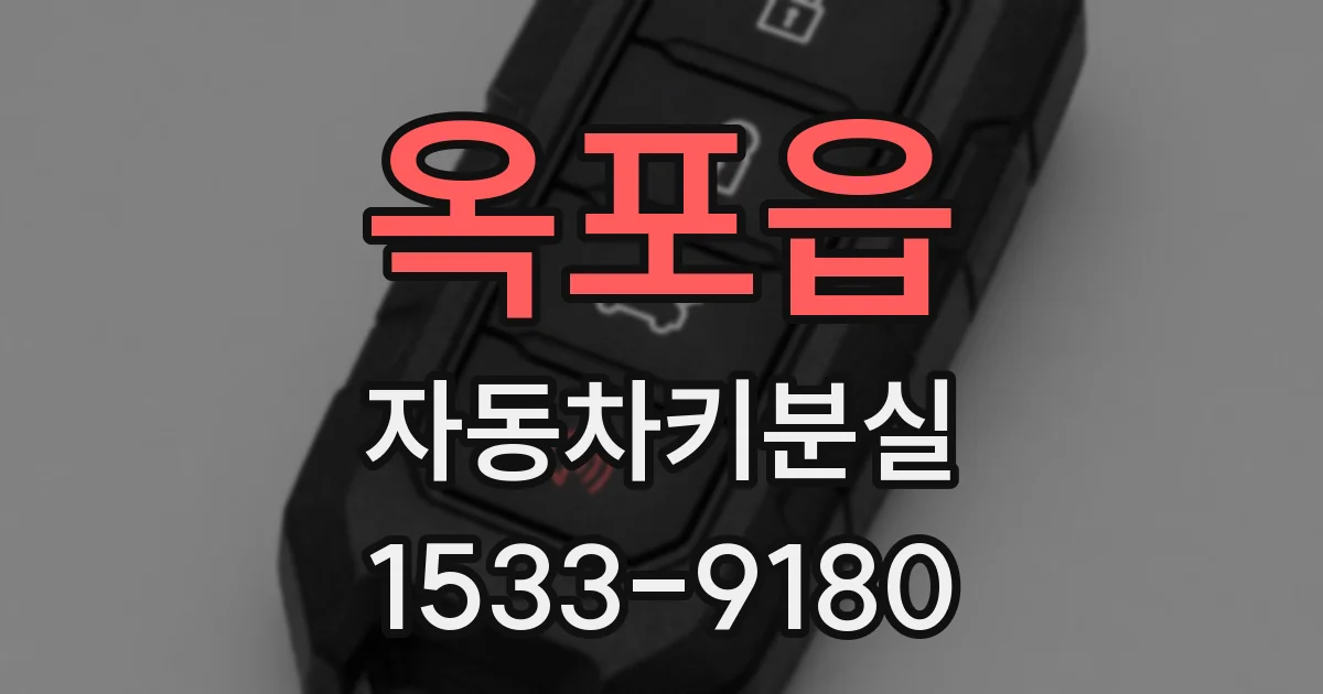 옥포읍 자동차키분실