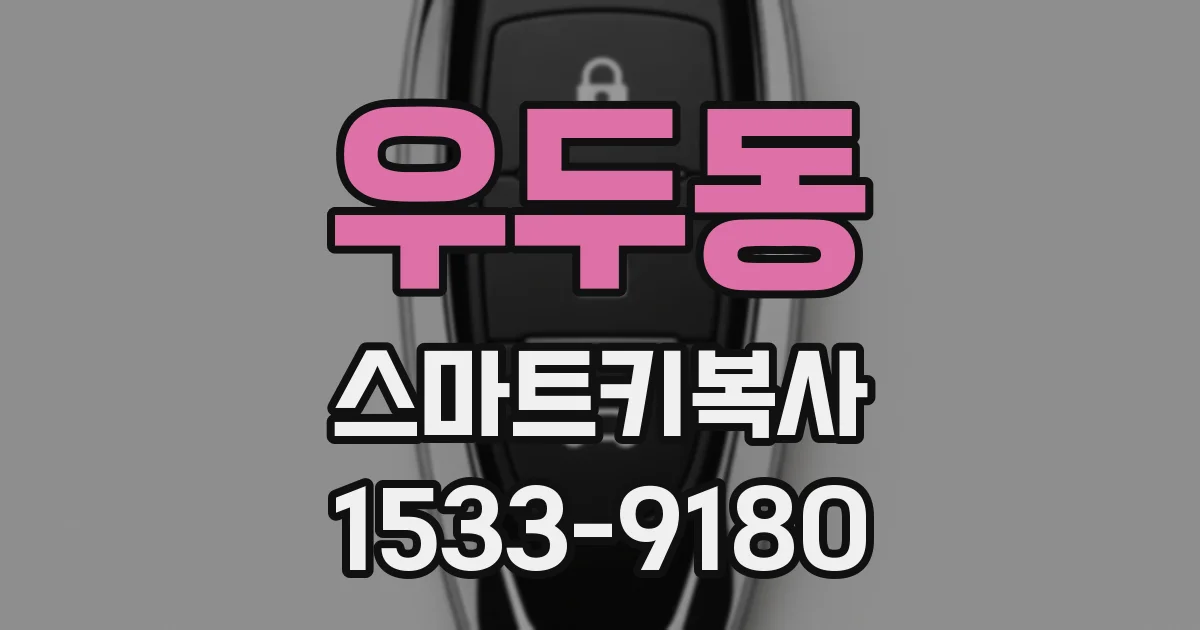 우두동 스마트키복사