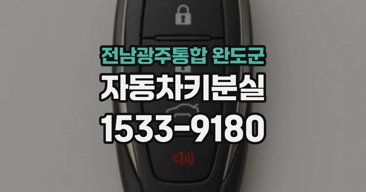 전남광주통합 완도군 자동차키분실