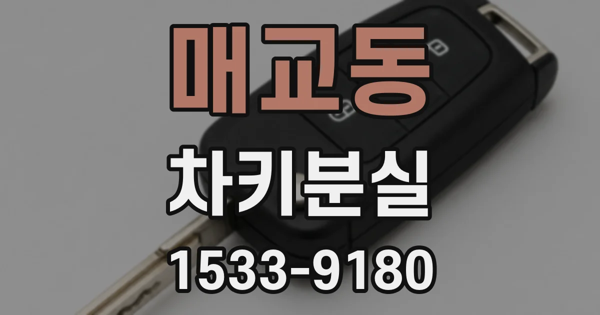 매교동 차키분실