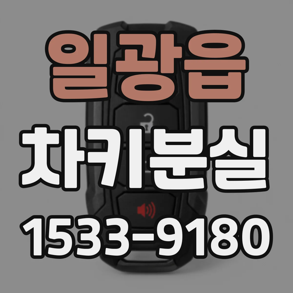 일광읍 차키분실