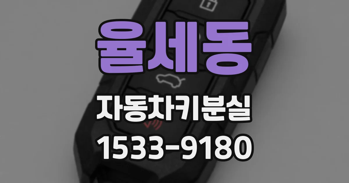 율세동 자동차키분실