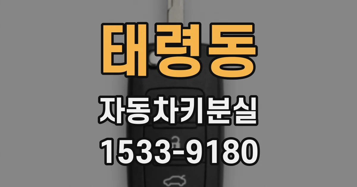 태령동 자동차키분실