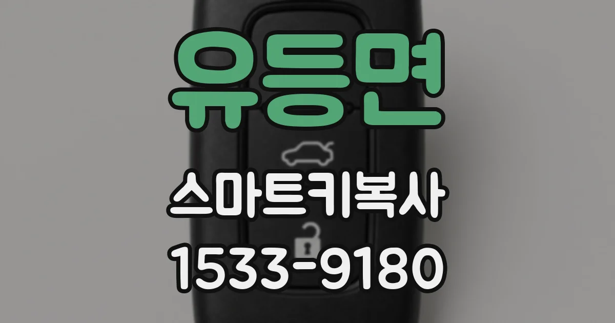 유등면 스마트키복사