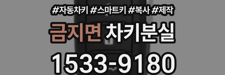금지면 차키분실