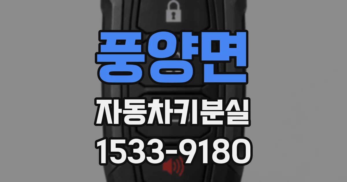 풍양면 자동차키분실