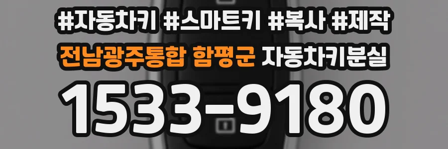 전남광주통합 함평군 자동차키분실