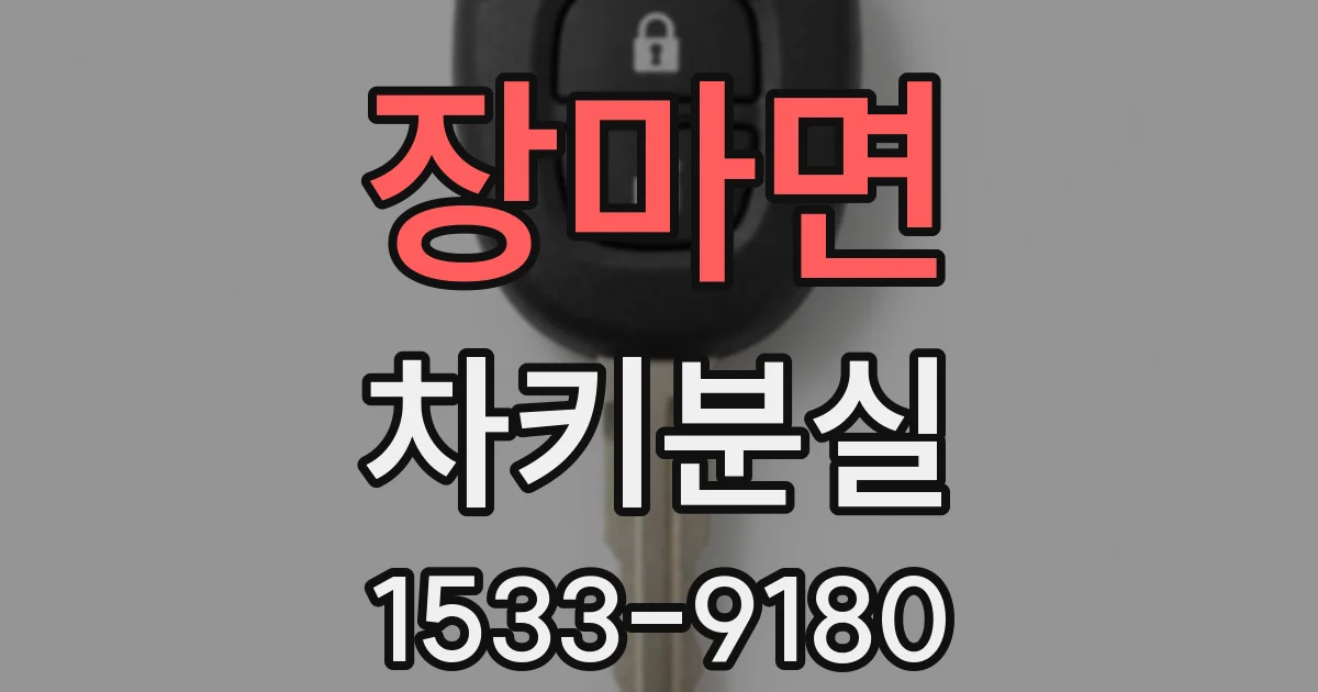 장마면 차키분실