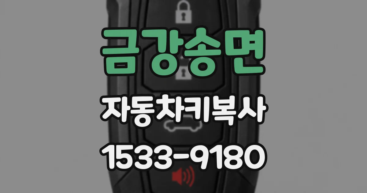 금강송면 자동차키복사