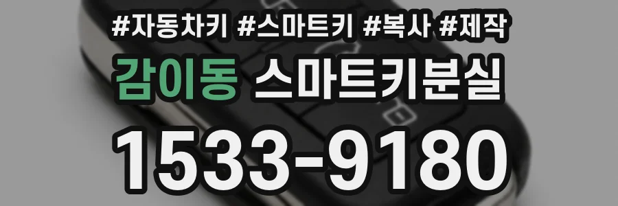 감이동 스마트키분실